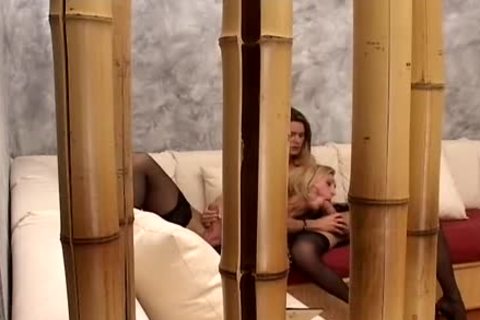 LAURA FERRAZ AND SABRINE DE PAULA SEXY TRANNYS