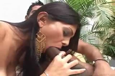 She Brasil Or Male Asian-She-Male