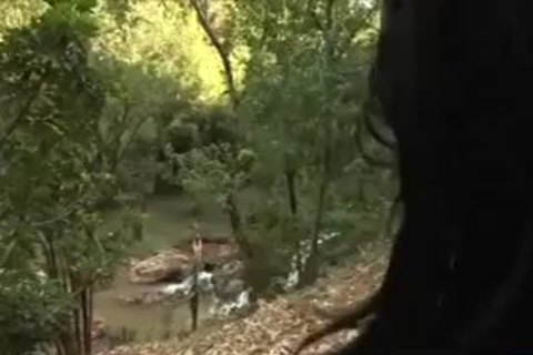 Shemale Fucks Shemale